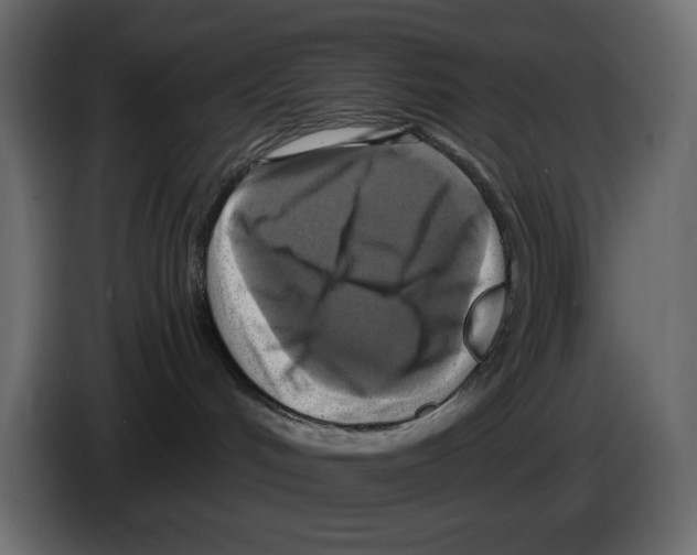 X0000084530048200703231702