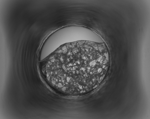 X0000084530049200703231701