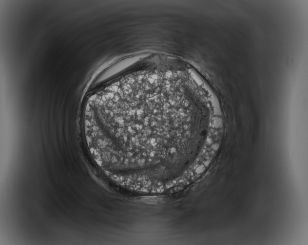 X0000084530050200703231701