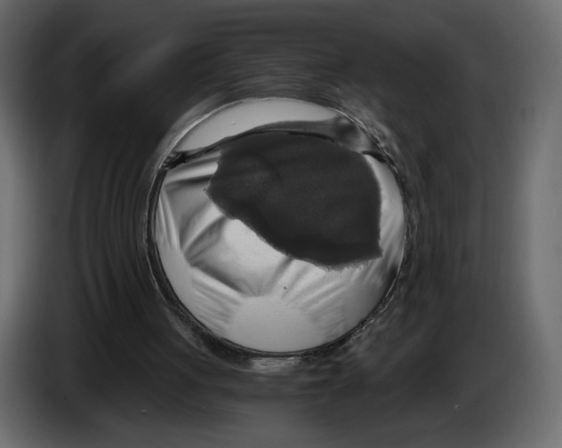 X0000084530051200703231701
