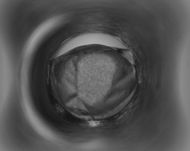 X0000084530052200703231701