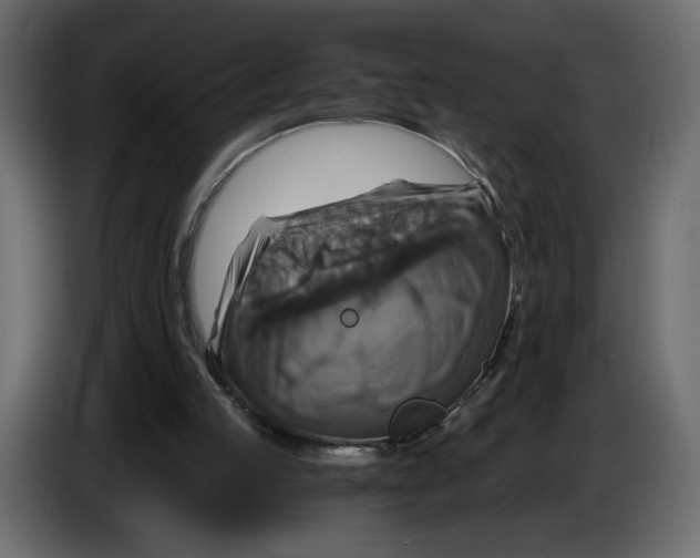 X0000084530053200703231701