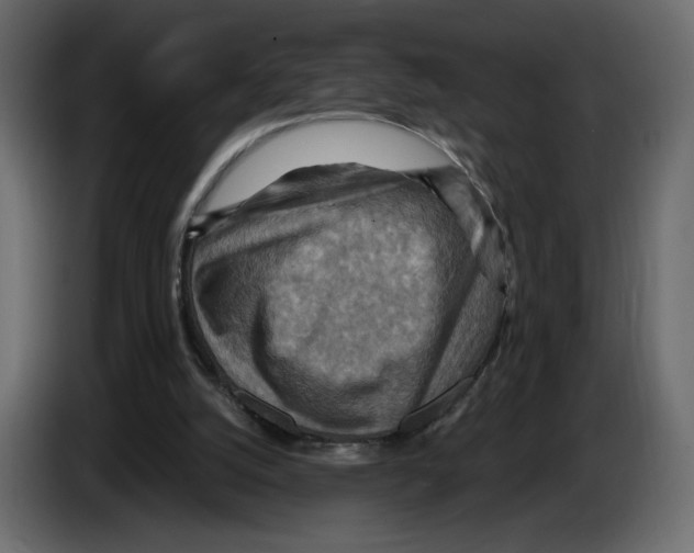 X0000084530056200703231701