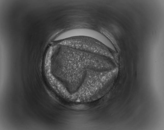 X0000084530058200703231701