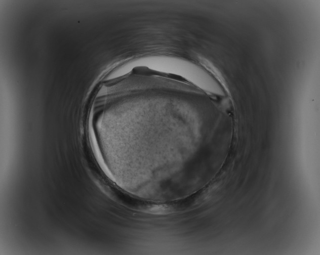 X0000084530059200703231701