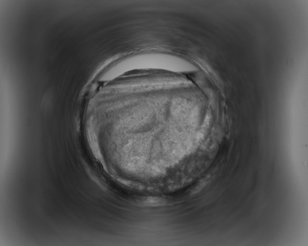 X0000084530060200703231701