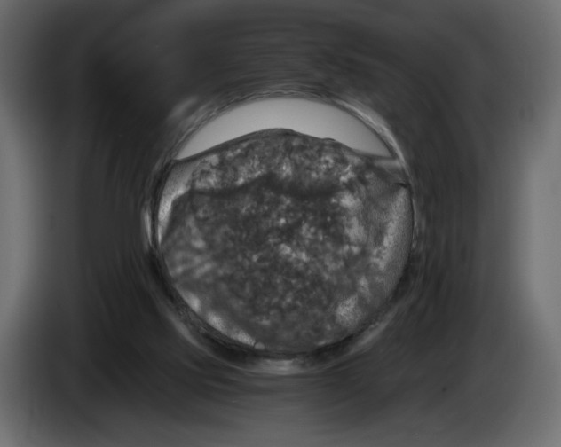 X0000084530061200703231701
