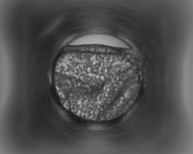 X0000084530062200703231701
