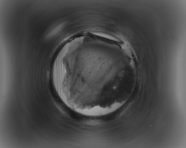X0000084530063200703231701