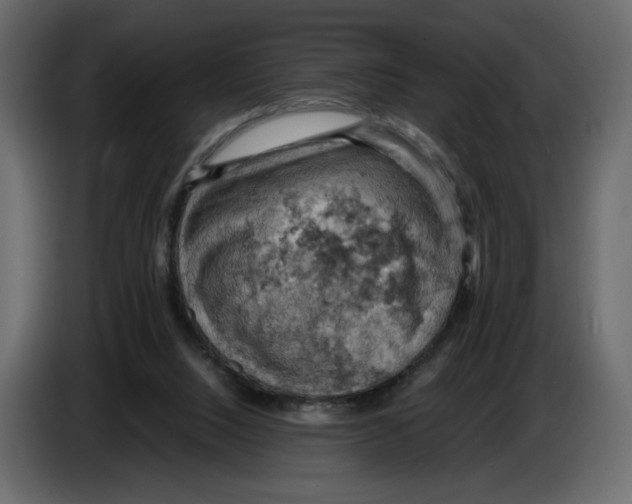 X0000084530064200703231701