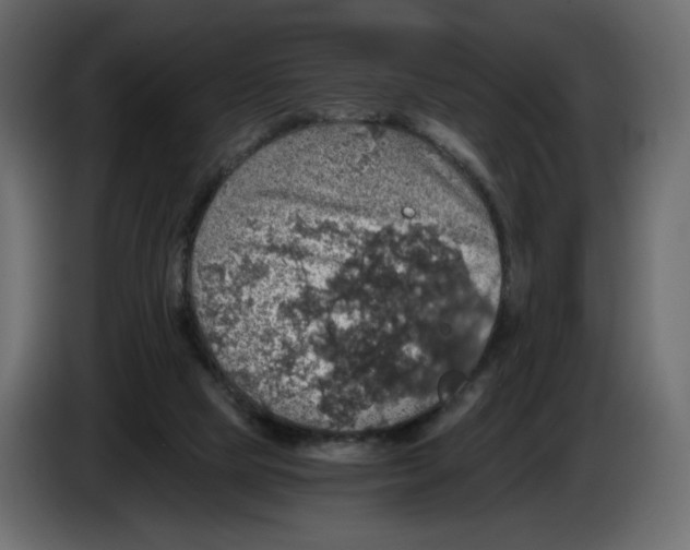 X0000084530065200703231701
