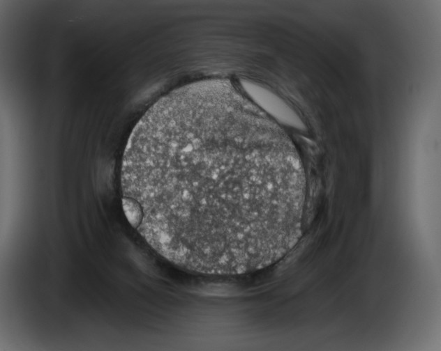 X0000084530066200703231701