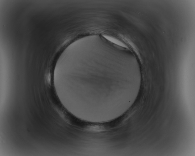 X0000084530067200703231701