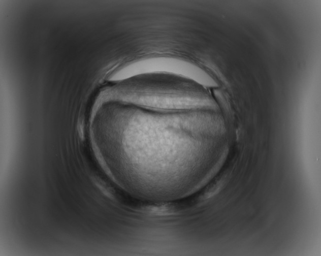 X0000084530068200703231701
