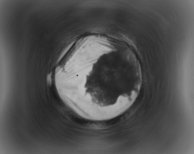 X0000084530069200703231701