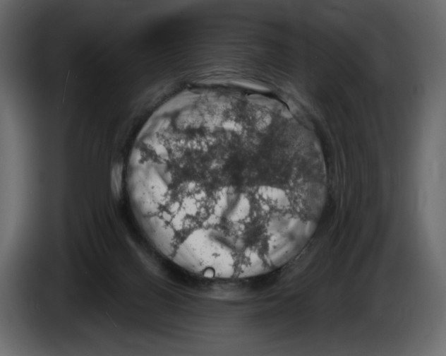 X0000084530070200703231701