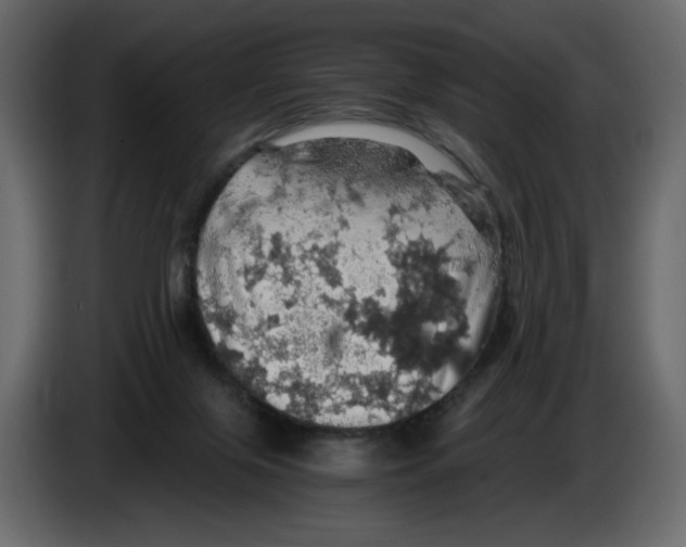 X0000084530071200703231701