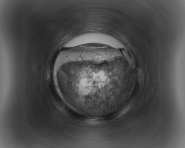 X0000084530072200703231701