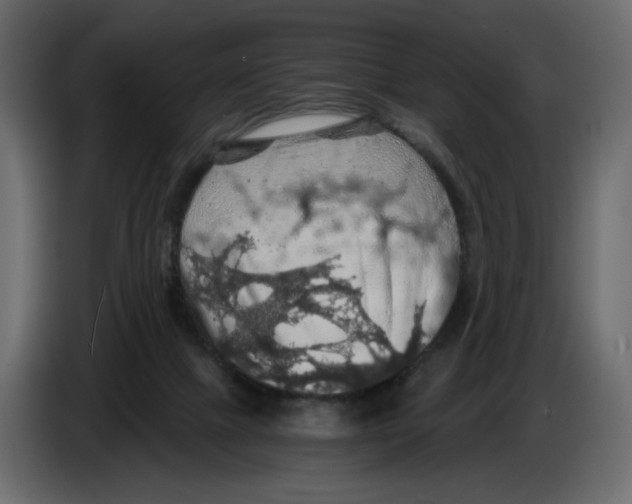 X0000084530073200703231701