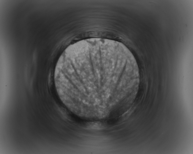 X0000084530074200703231701