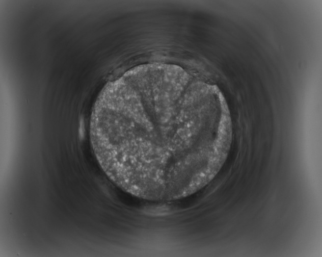 X0000084530075200703231701