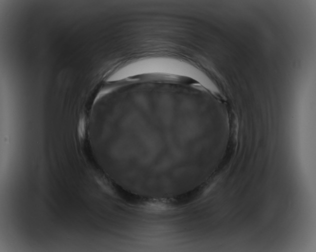 X0000084530076200703231701