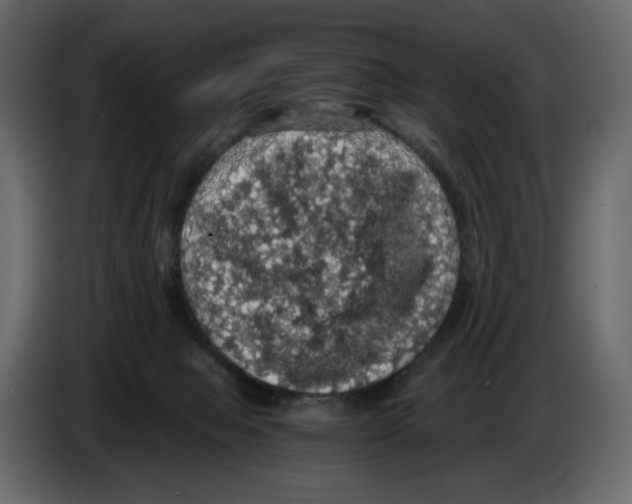 X0000084530077200703231701