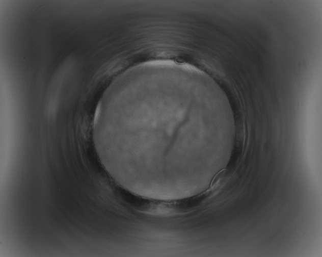 X0000084530078200703231701