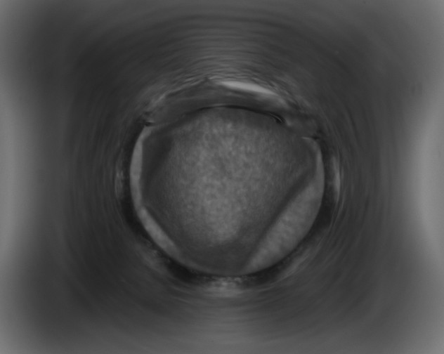 X0000084530080200703231701