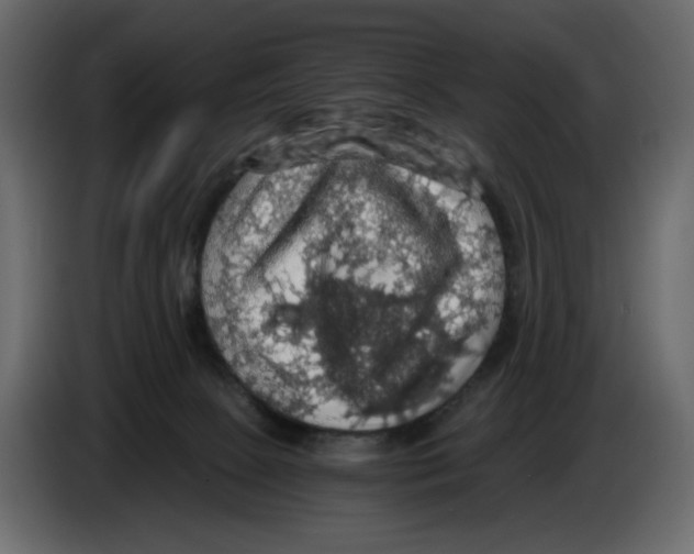 X0000084530081200703231702