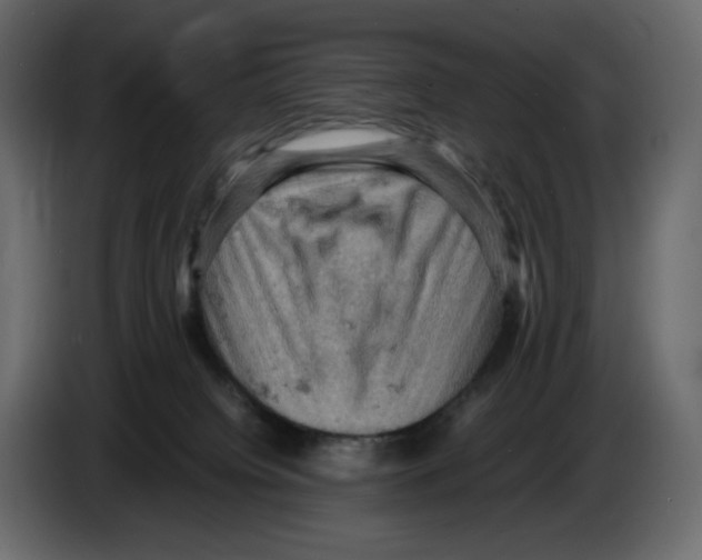 X0000084530084200703231702