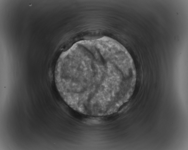 X0000084530086200703231702