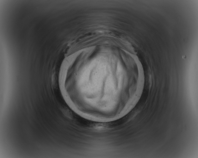 X0000084530088200703231702