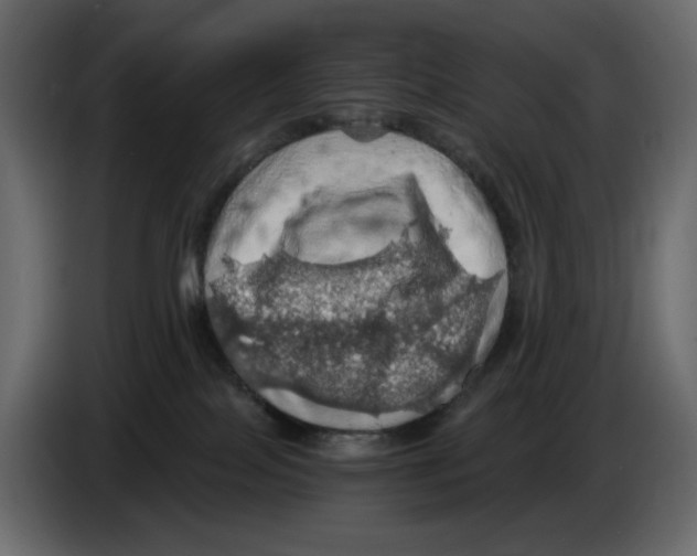 X0000084530089200703231702