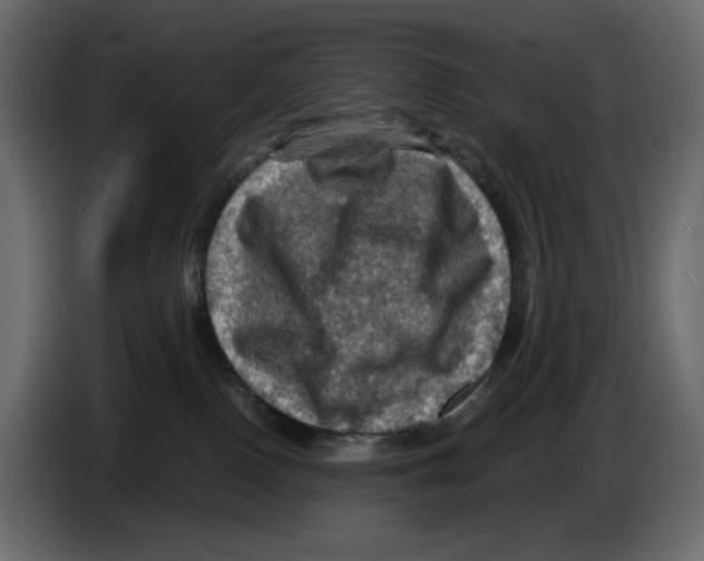 X0000084530090200703231702