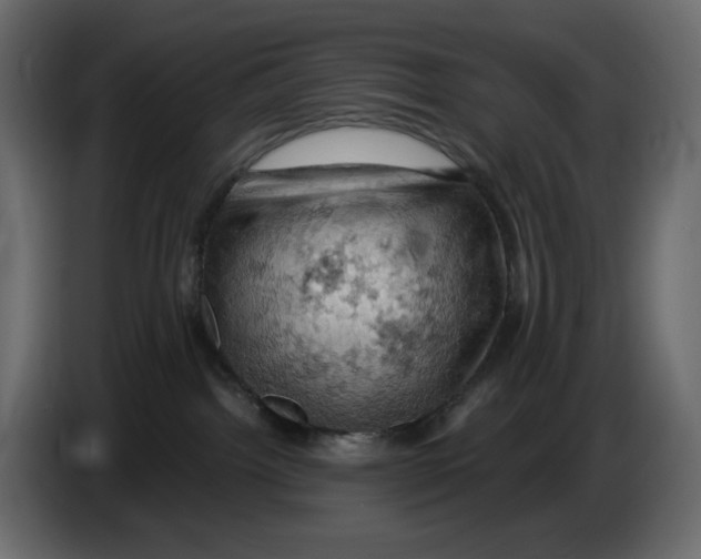 X0000084530092200703231702