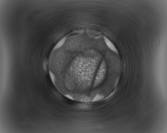 X0000084530094200703231702