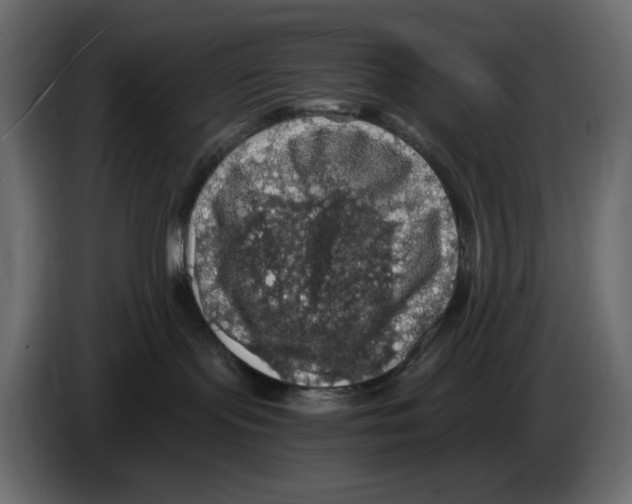 X0000084530095200703231702