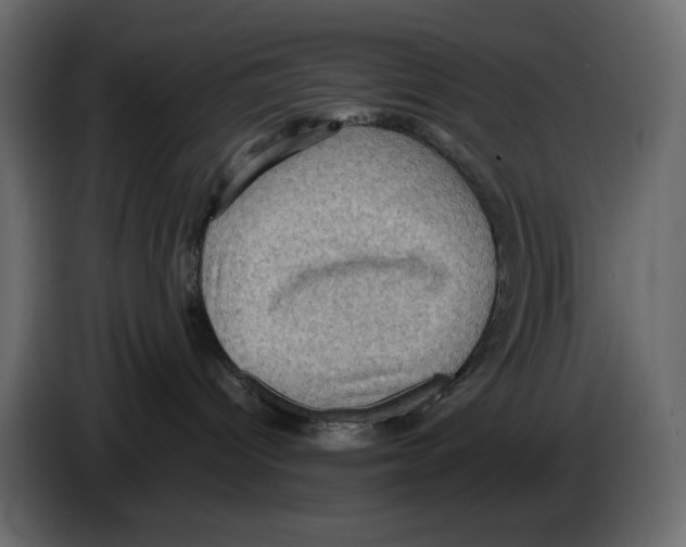 X0000084530096200703231702