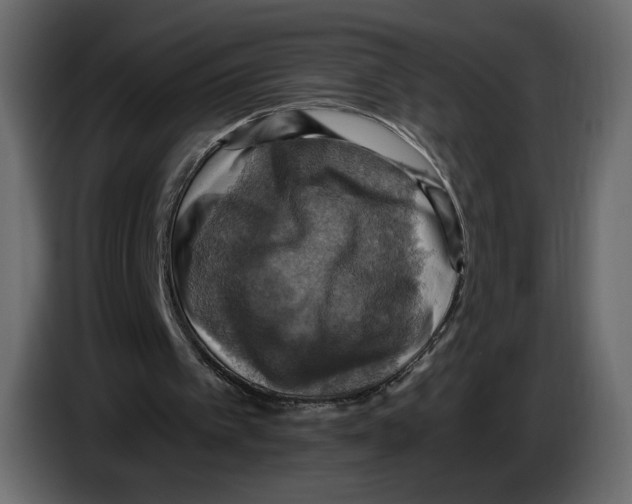X0000084530097200703231701