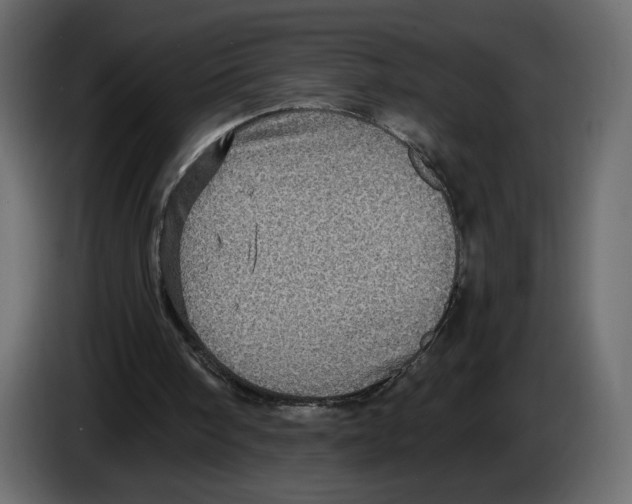 X0000084530098200703231701