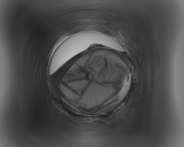 X0000084530099200703231701