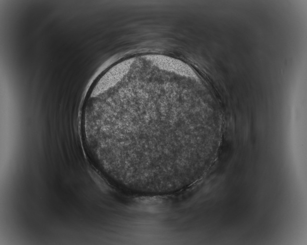X0000084530100200703231701