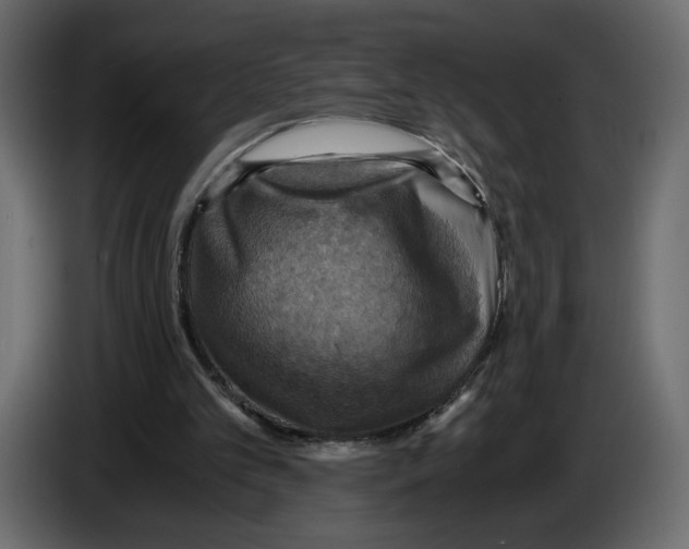 X0000084530101200703231701