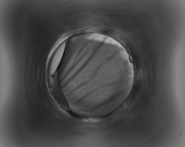 X0000084530102200703231701