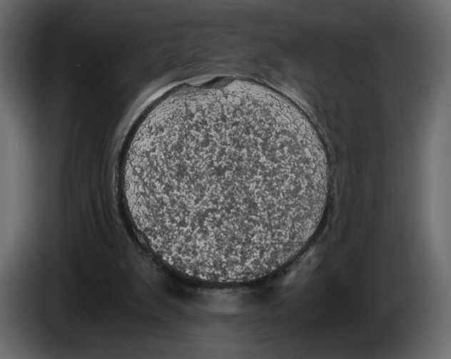 X0000084530103200703231701