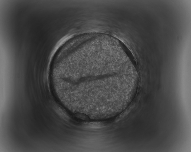 X0000084530104200703231701