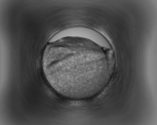 X0000084530105200703231701