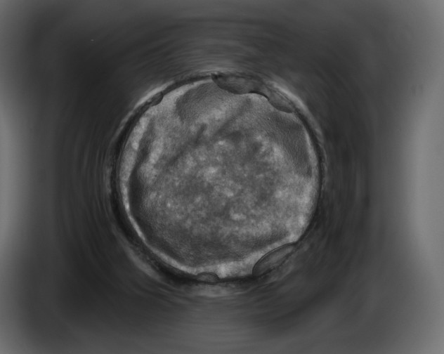 X0000084530106200703231701
