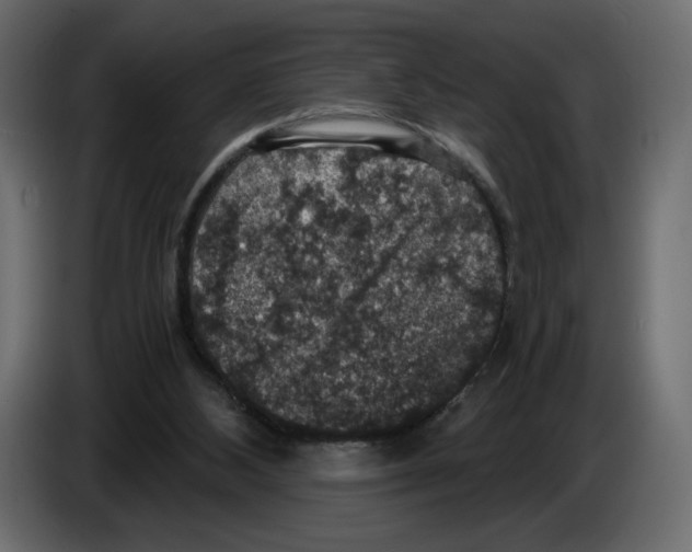 X0000084530108200703231701